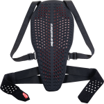 Nucleon Plasma Back Protector